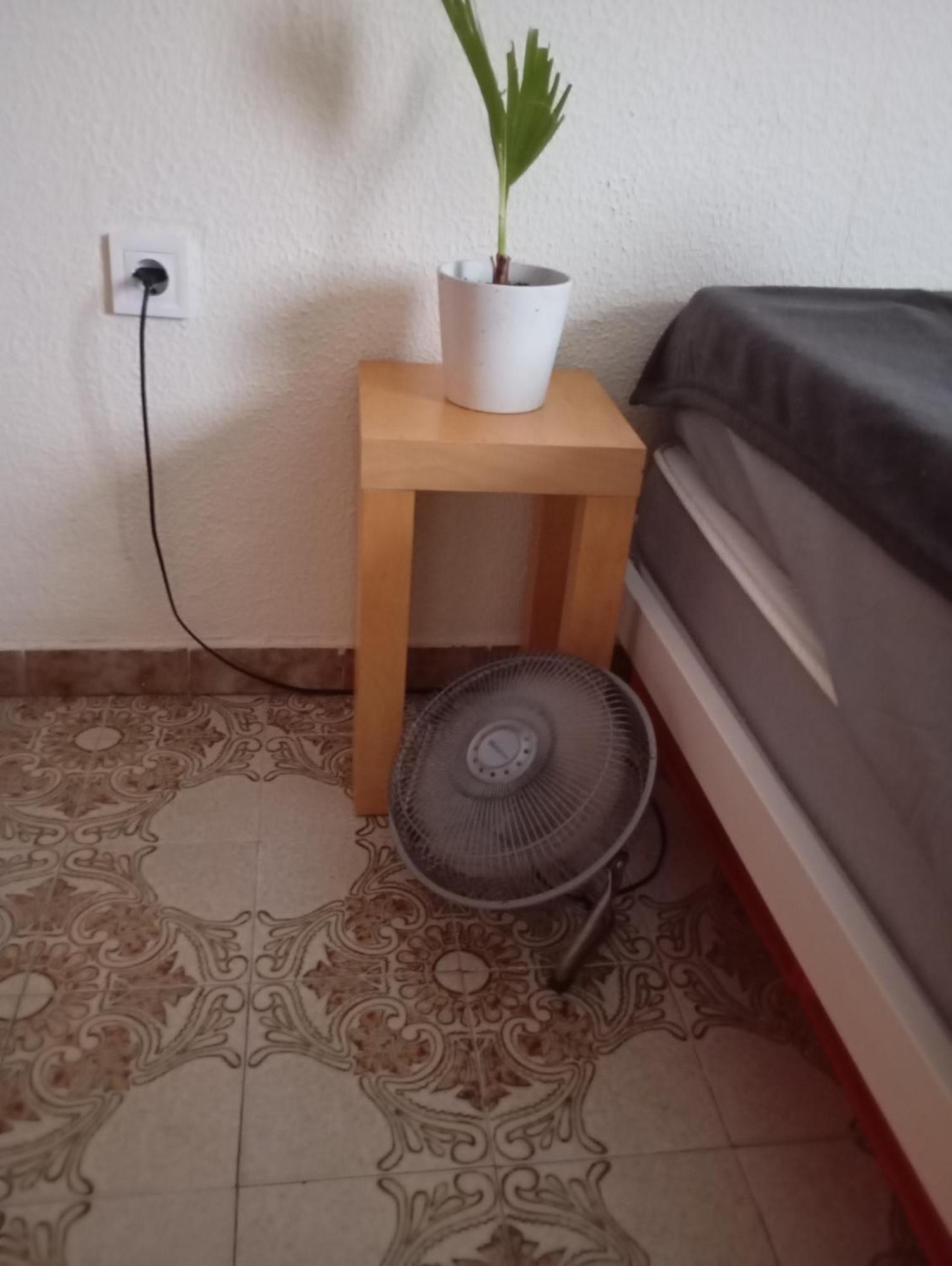 Grosses Modernes Zimmer "Silber" Fuer 2 Personen Und Katzenliebhaber Valencia Exterior photo