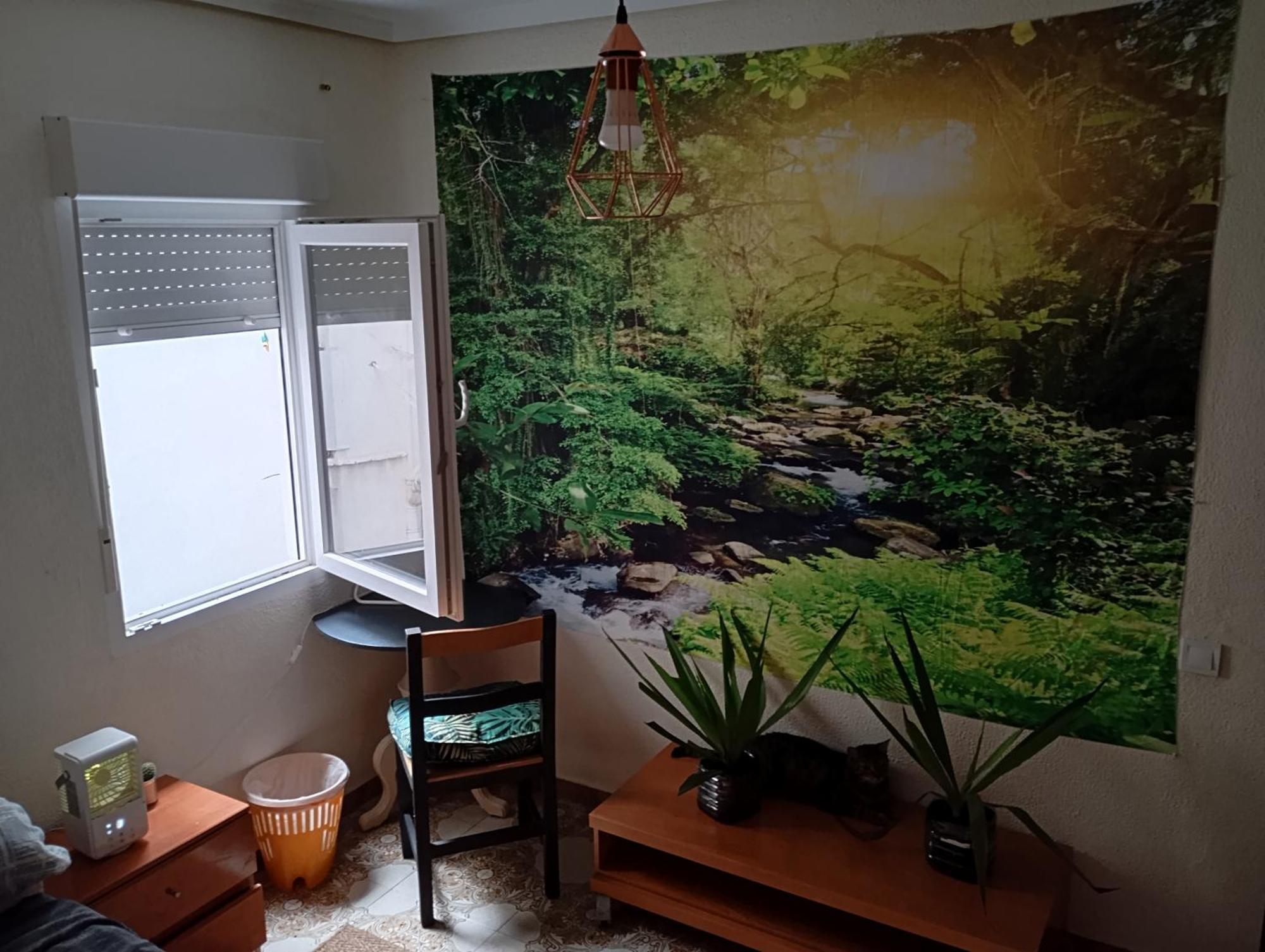 Grosses Modernes Zimmer "Silber" Fuer 2 Personen Und Katzenliebhaber Valencia Exterior photo